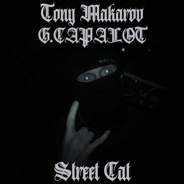 Street Cat