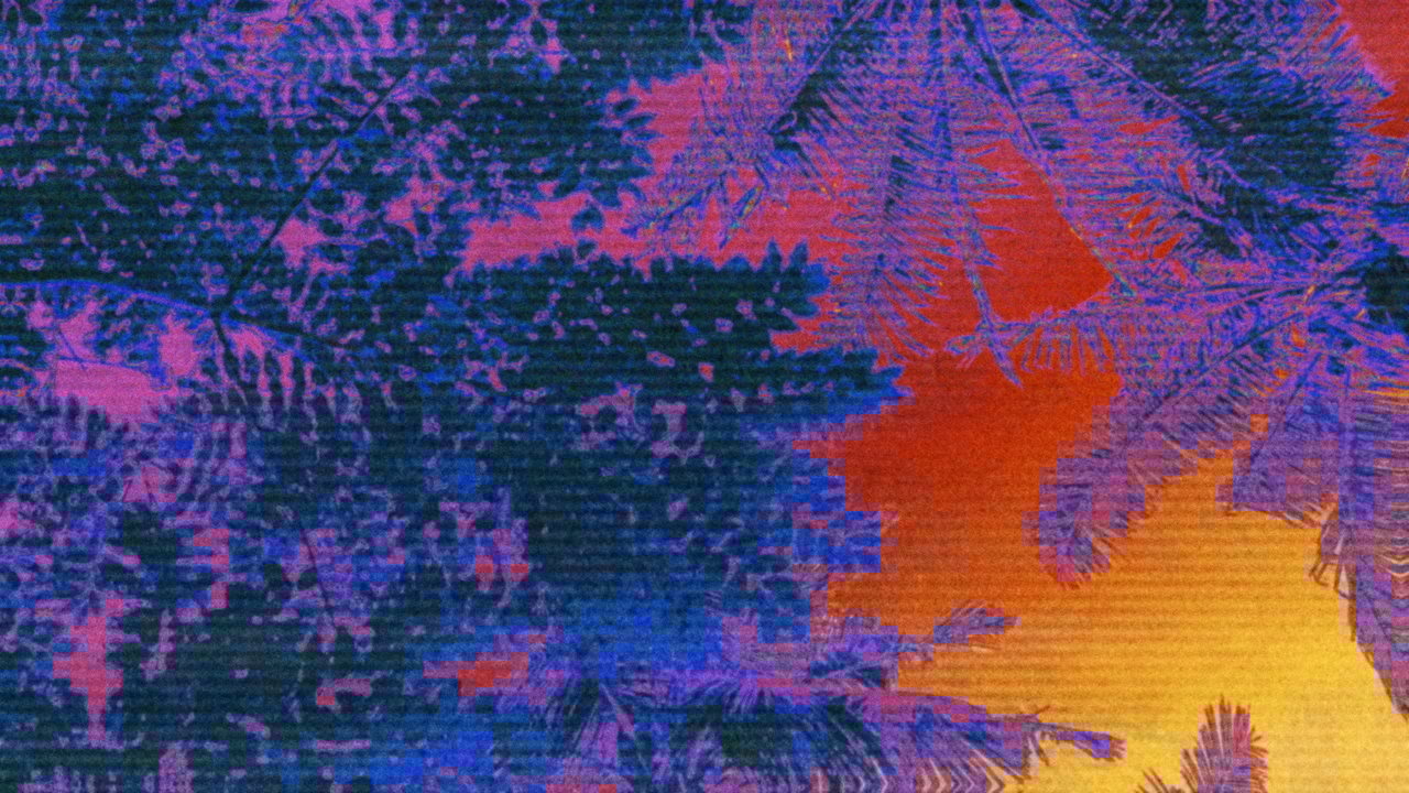 Love Jones (Lyric Video)