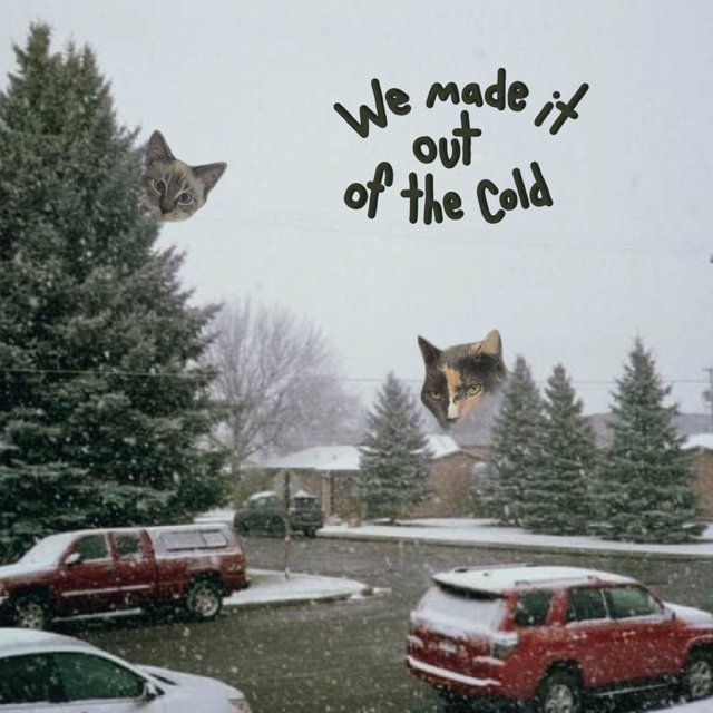 we made it out of the cold