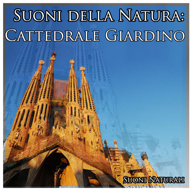 Suoni della Natura: Cattedrale Giardino