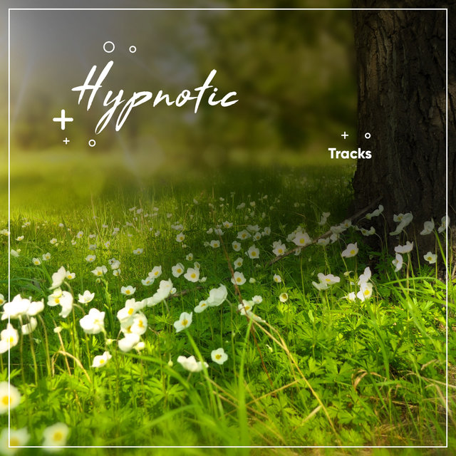 15 hypnotische Tracks für geführte Meditation