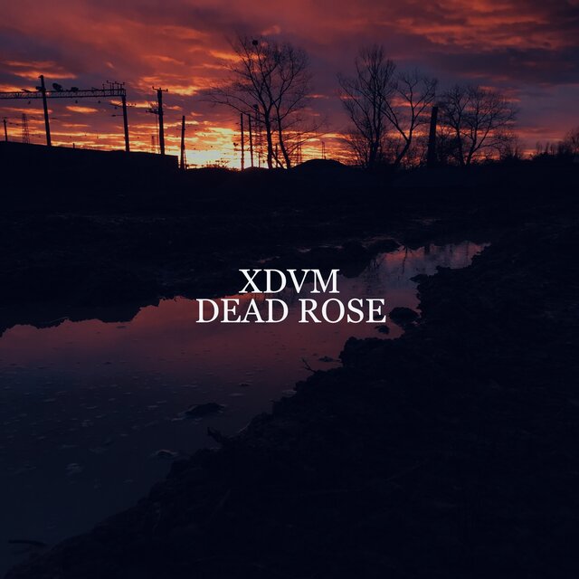 Dead Rose