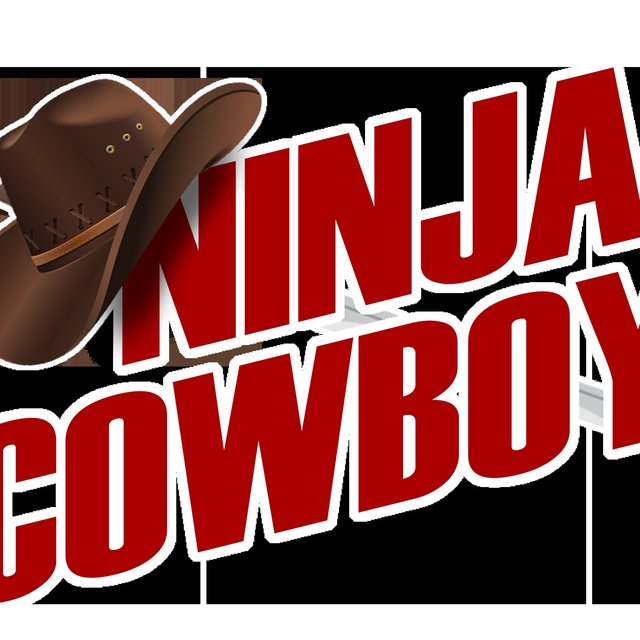 Ninja Cowboy