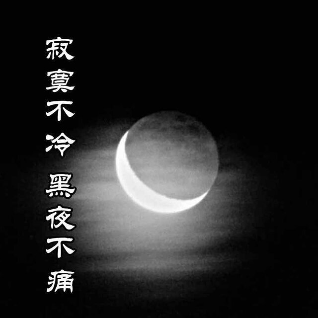 寂寞不冷黑夜不痛