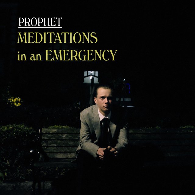 Meditations in an Emergency