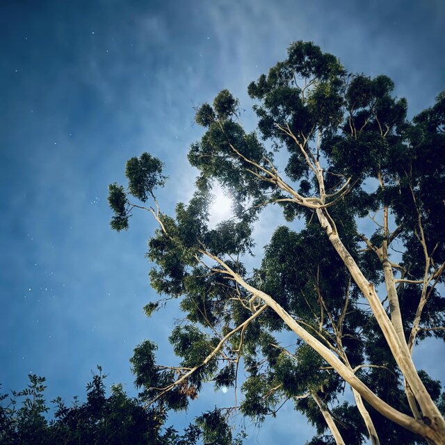 Middle Of The Night (feat. Joule$ & Peyton Miller)