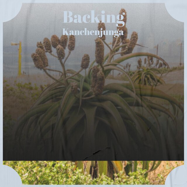 Backing Kanchenjunga