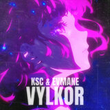VYLKOR