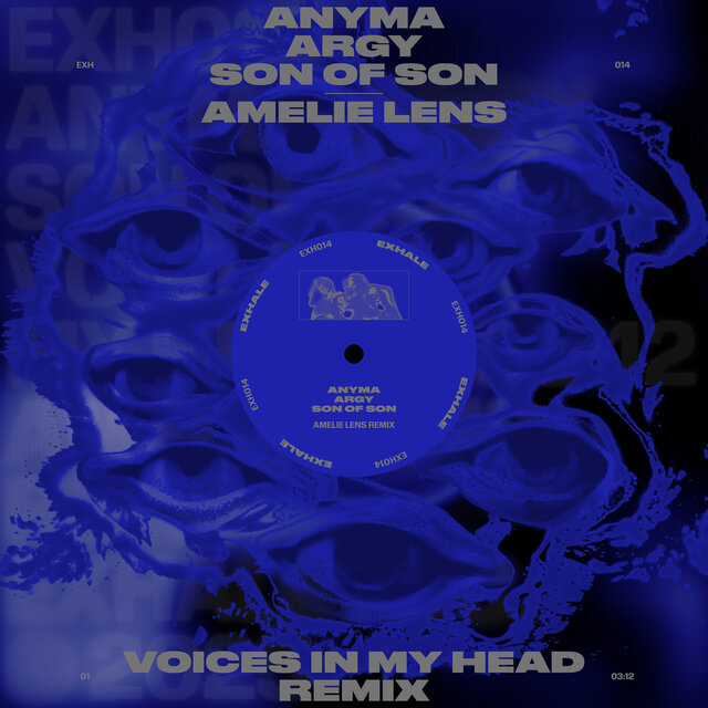 Voices In My Head Remix