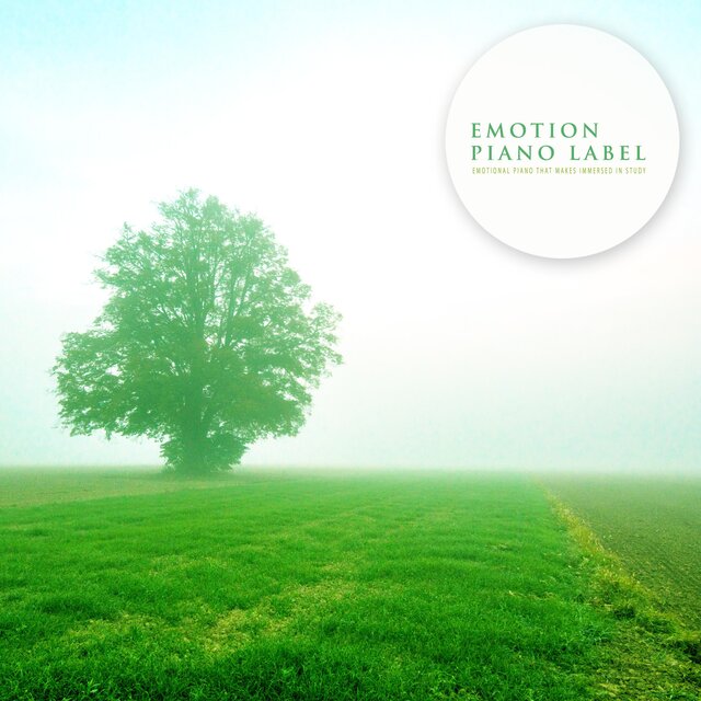 Emotional Piano That Makes Immersed In Study