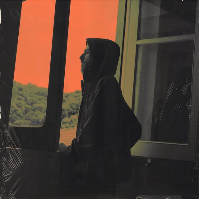 Agent Orange 2