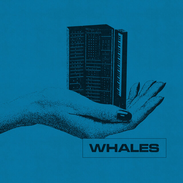 Whales