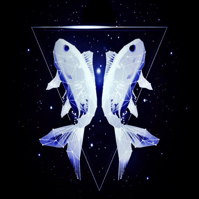 Feed The Fish