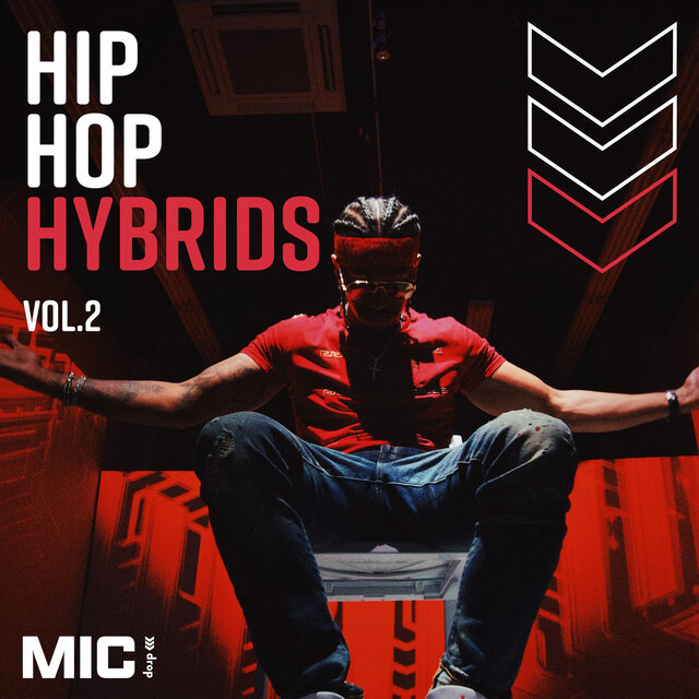 Hip Hop Hybrids Vol. 2
