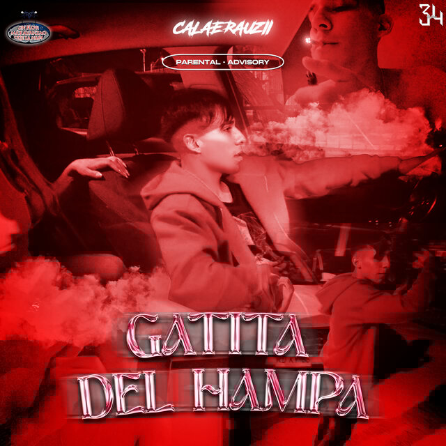 Gatita Del Hampa