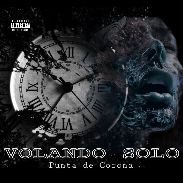 Volando Solo