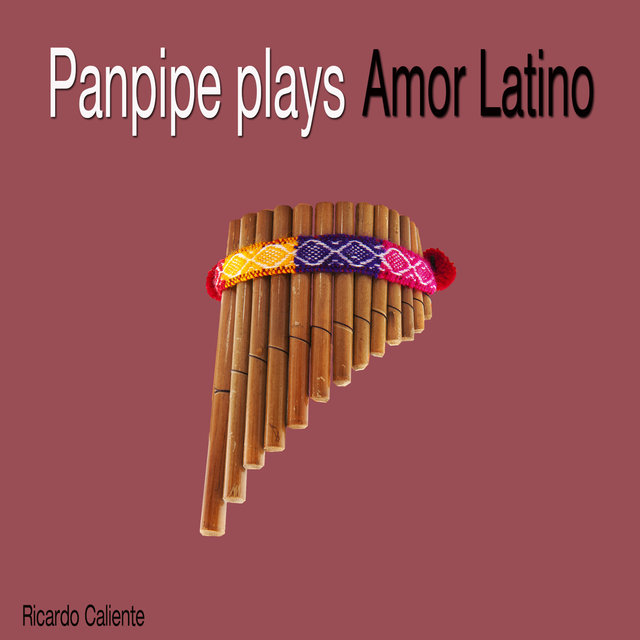 Panpipe Plays Amor Latino