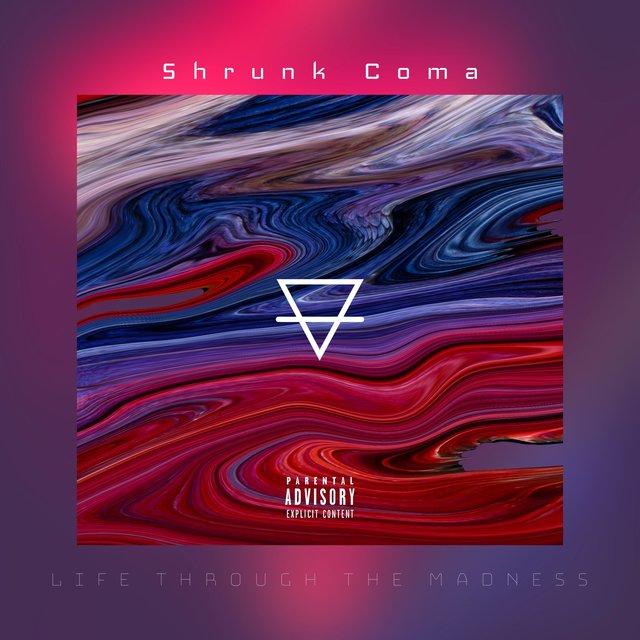 Life Through the Madness
