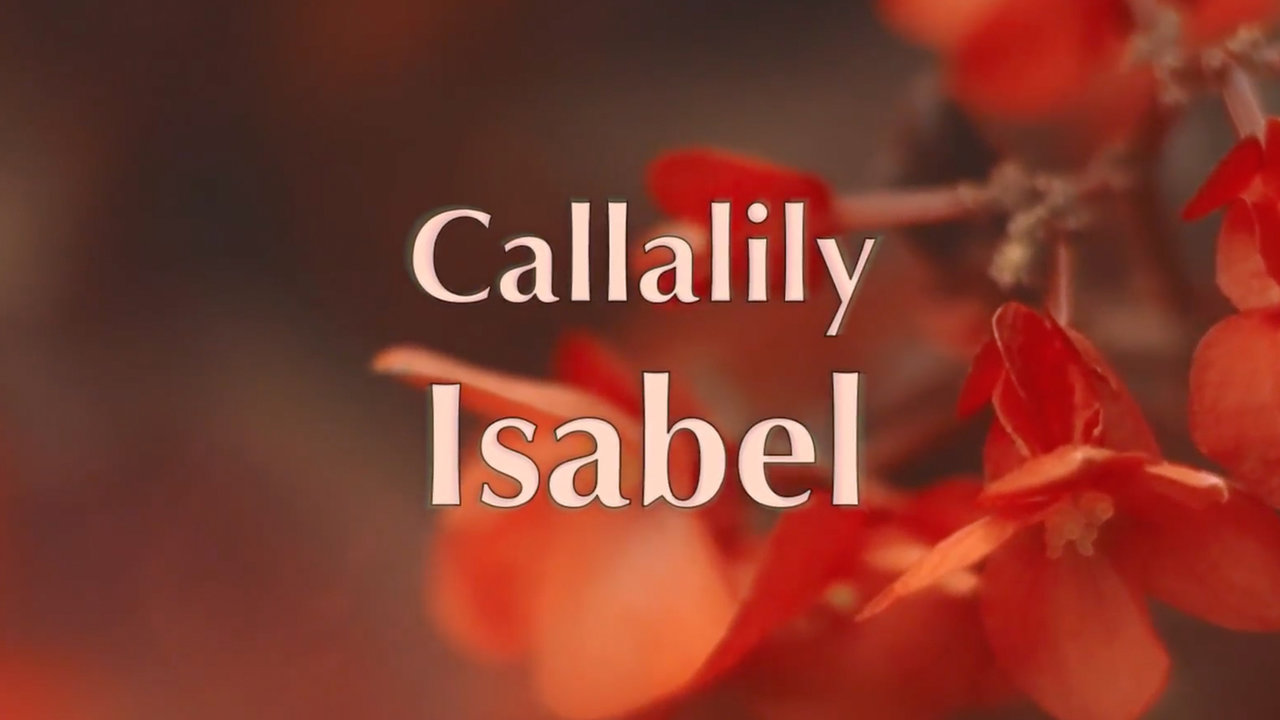 Isabel