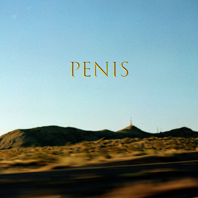 PENIS