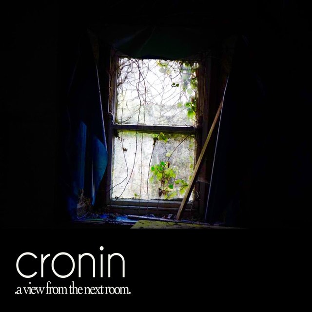 A View from the Next Room