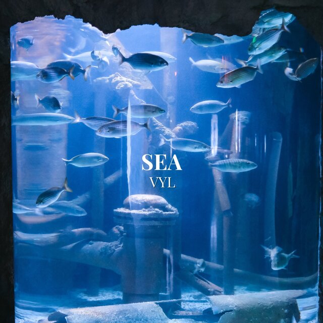 Sea