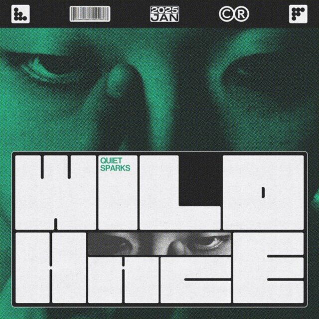 Wild Haze: Quiet Sparks