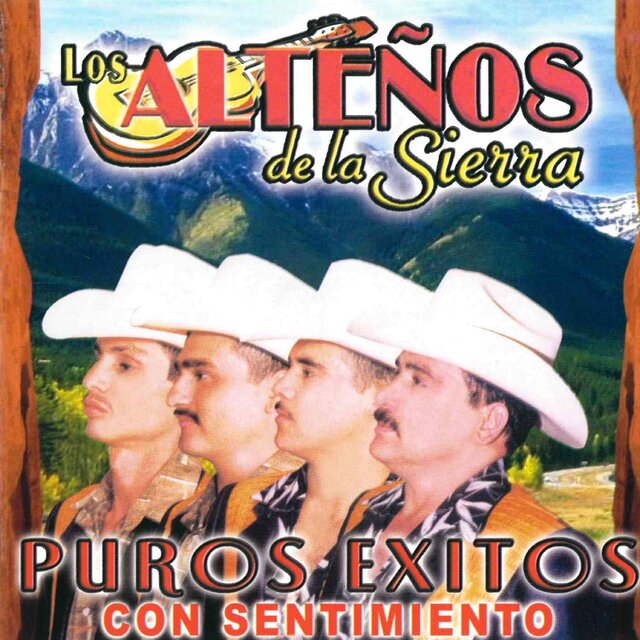 Puros Exitos Con Sentimiento