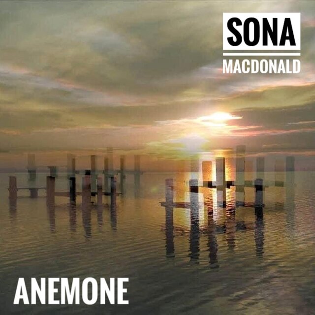 Anemone