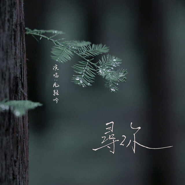 寻你