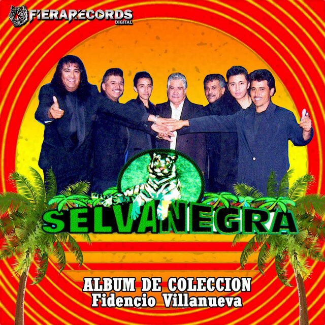 Album de Coleccion, Fidencio Villanueva