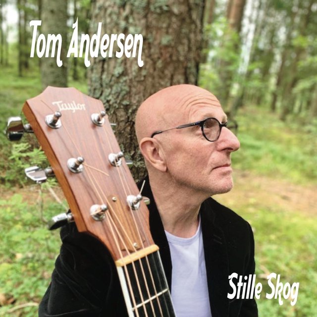 Stille Skog