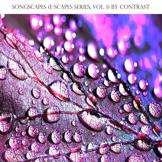 Songscapes