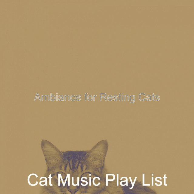 Ambiance for Resting Cats