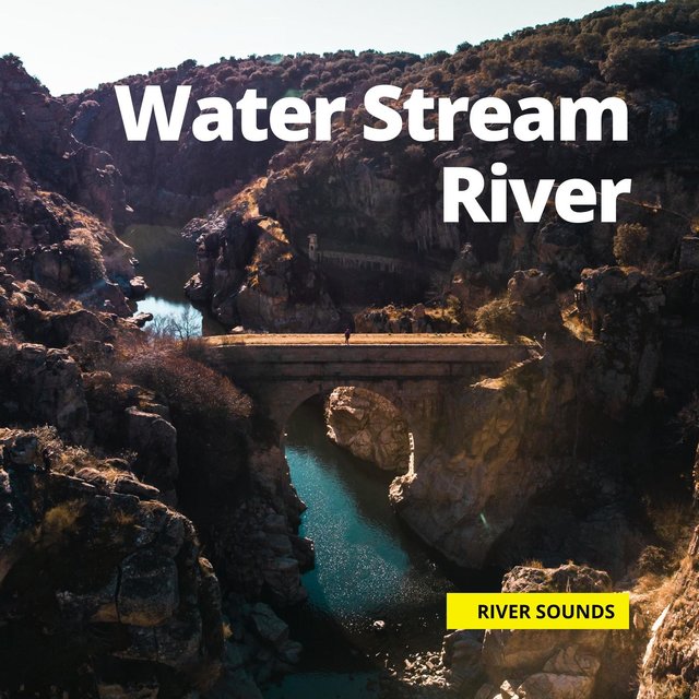 Water Stream River