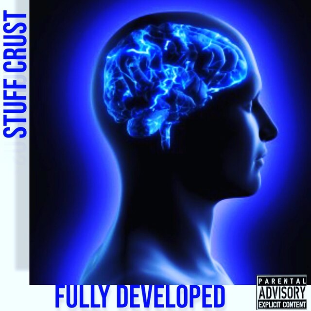 FULLY DEVELOPED