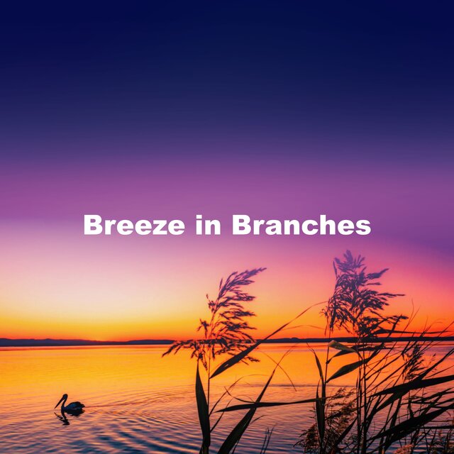 Breeze in Branches