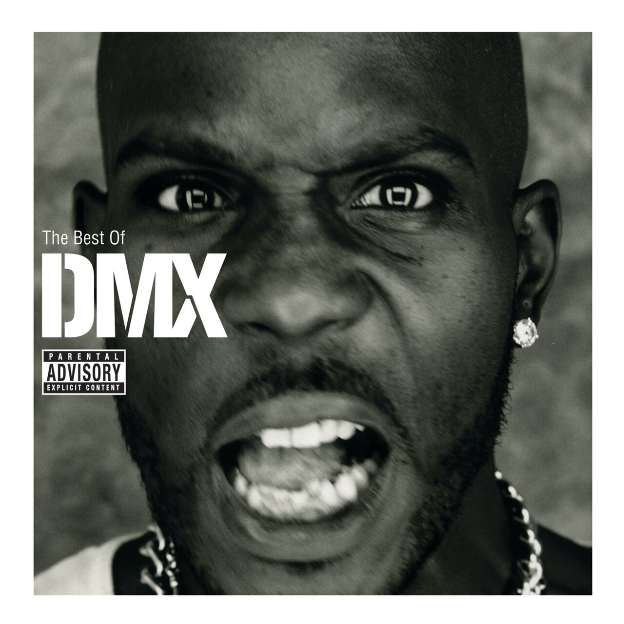 The Best Of DMX by DMX on TIDAL