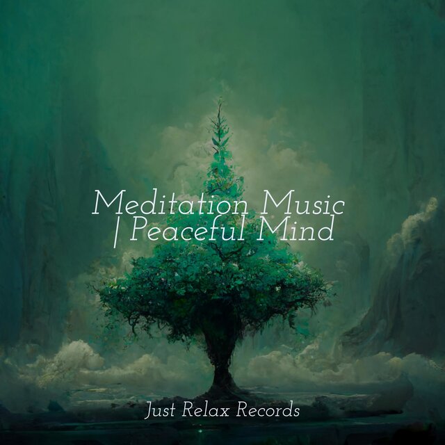 Meditation Music | Peaceful Mind
