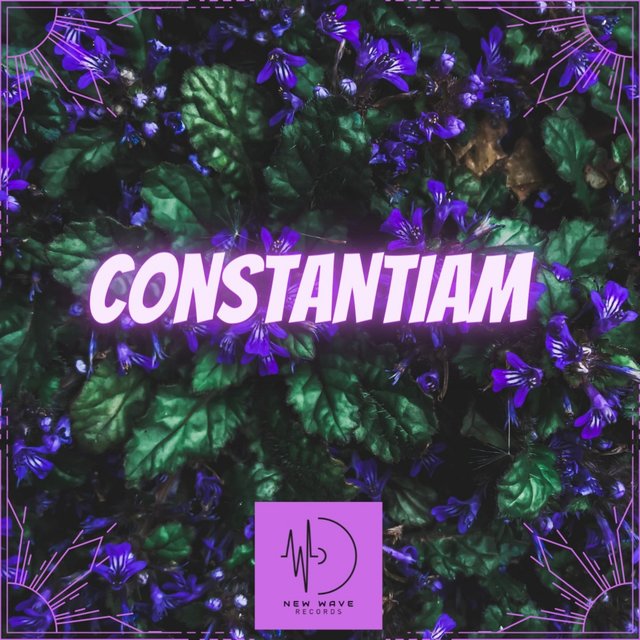 Constantiam