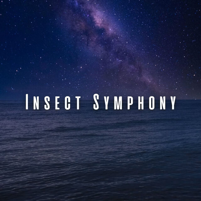 Insect Symphony: Nature's Ocean and Chill Music for Sleep