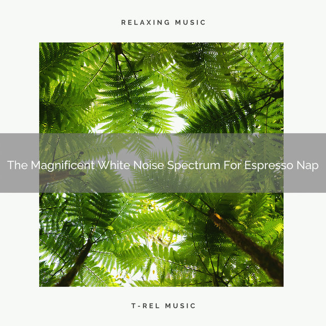 The Magnificent White Noise Spectrum For Espresso Nap