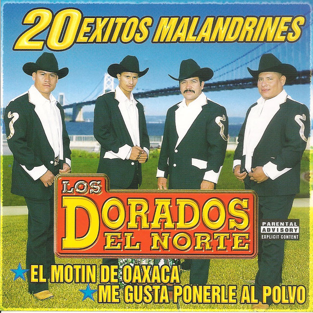 20 Exitos Malandrines
