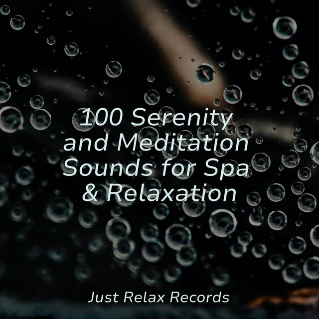 100 Serenity and Meditation Sounds for Spa & Relaxation