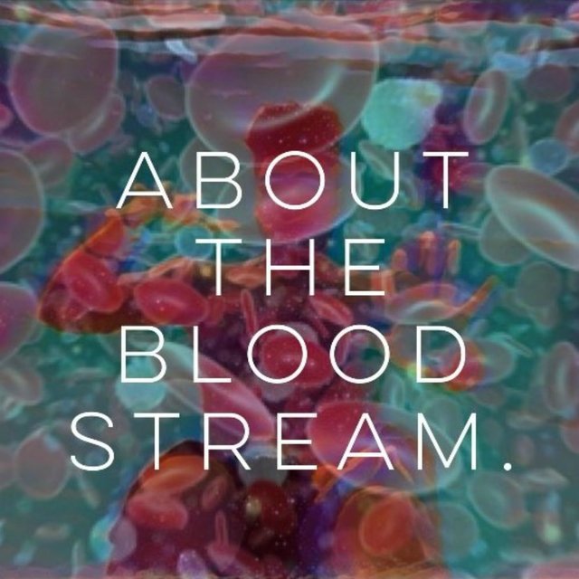 About the Bloodstream .