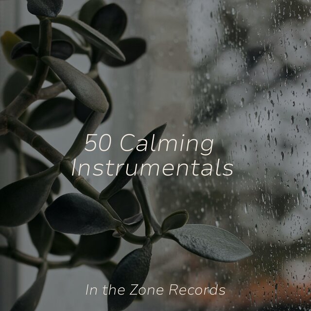 50 Calming Instrumentals