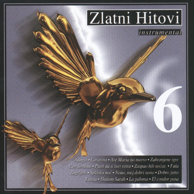 Zlatni hitovi 6 (Instrumental)