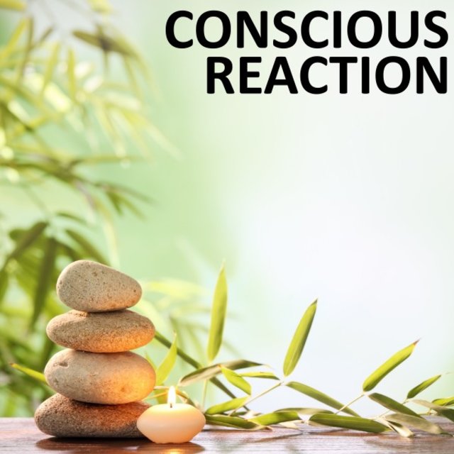 Conscious Reaction
