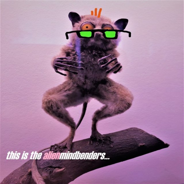 This is the alienmindbenders