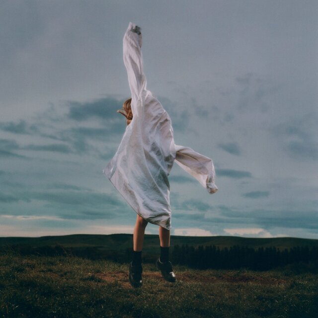 Cover art for album Birding by deary